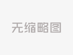 业兴景秀展宏图——娄底经开区大埠桥街道经济社会发展纪实
